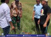 Gagal Panen di Kecamatan Batang, DPRD dan FPMJ Tinjau Langsung Lokasi Kekeringan