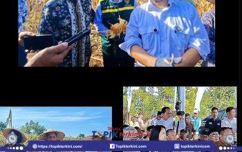 Baznas RI Dorong Pemberdayaan Petani Jagung di Lombok Timur, Bupati Iron Tegaskan Bakal Intervensi Bulog Serap Harga!