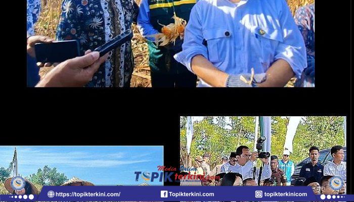 Baznas RI Dorong Pemberdayaan Petani Jagung di Lombok Timur, Bupati Iron Tegaskan Bakal Intervensi Bulog Serap Harga!