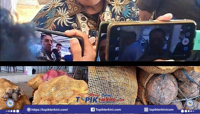 Pabrik Porang Lombok Timur Serap Bahan Baku dari Berbagai Daerah, KLU Jadi Pemasok Terbesar