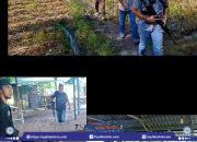 Polres Lombok Timur Gerebek Judi Sabung Ayam di Keruak, Dua Orang Diamankan