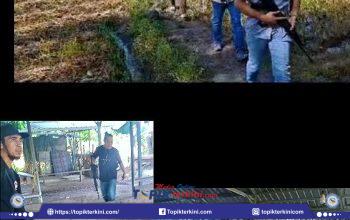 Polres Lombok Timur Gerebek Judi Sabung Ayam di Keruak, Dua Orang Diamankan