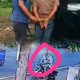 Curi Motor Randis Perangkat Desa! Polres Lombok Timur Berhasil Tangkap Pelaku Pencurian Kurang dari 24 Jam