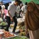 Retribusi Pasar Diduga Bocor, Dinas Perdagangan Lotim Dinilai Kurang Jeli dan Transparan