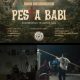 Sejumlah LSM Persatuan Pemuda Dusun Belet Raya Nobar “Pesta Babi” di Panggung Utama Depa Masjid, Aparat di Lotim Kemana?