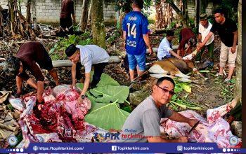 Perkuat Solidaritas Sosial, JMSI Kota Kendari Gelar Penyembelihan Hewan Kurban di Saksikan Pengurus JMSI Sultra