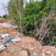 Diduga Reklamasi Ilegal, Diminta Kapolda Kepri Telusuri Pengrusak Hutan Mangrove 